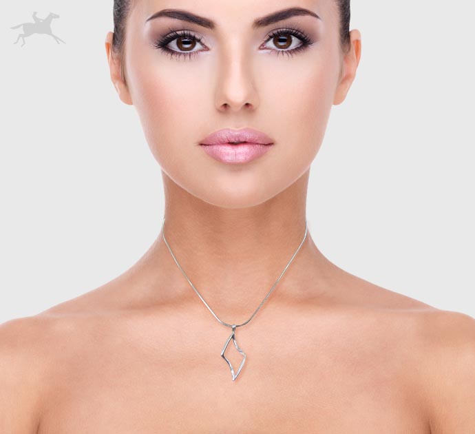 dije de plata