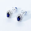 Aretes de plata con zafiro y circones